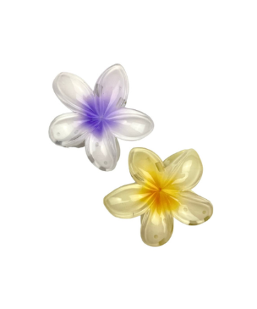 Ganchos de Flores Hawaianas